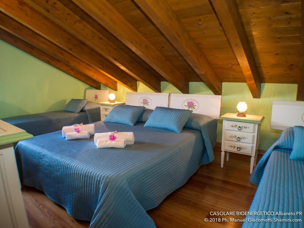 Bed and Breakfast Il Casolare Bioenergetico à Albareto  Extérieur photo