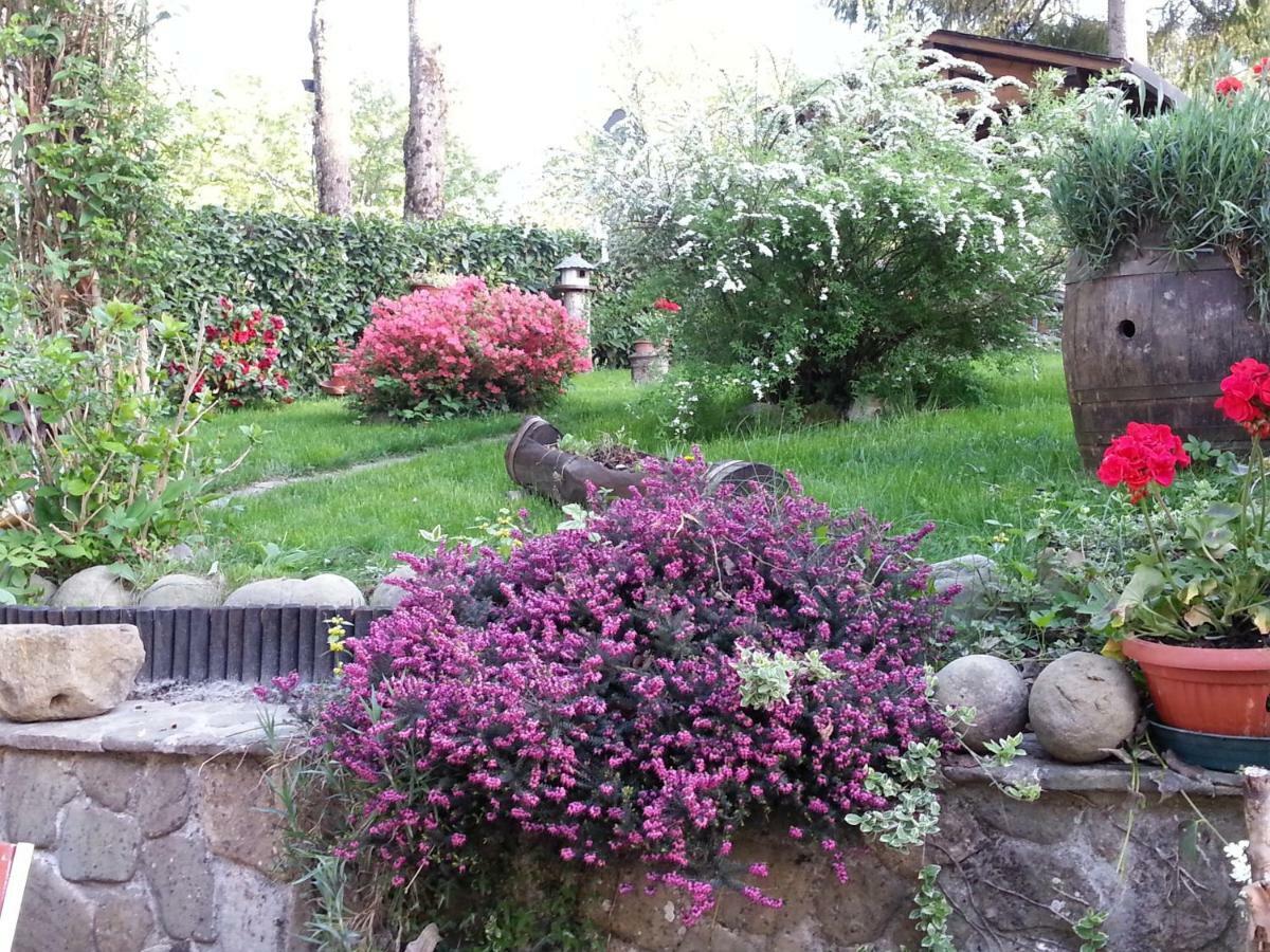 Bed and Breakfast Il Casolare Bioenergetico à Albareto  Extérieur photo